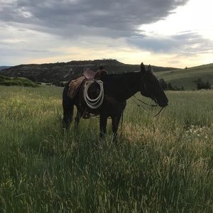 Meet your Posher, Colter